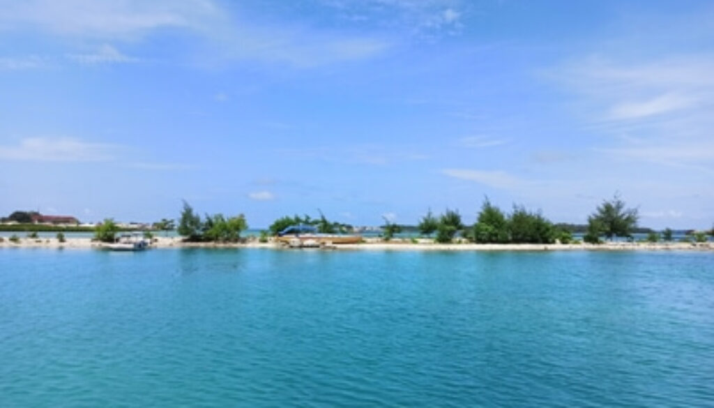 Blue_Ocean