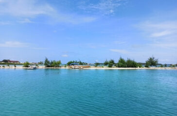 Blue_Ocean