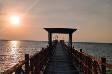 mangrove_trekking