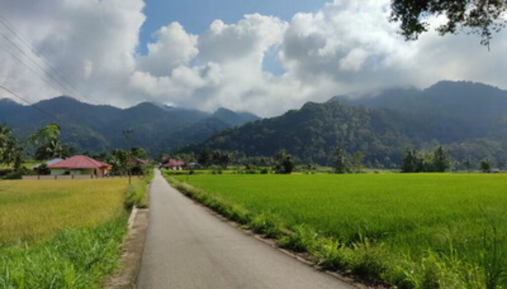 Jorong_Bungo_Setangkai