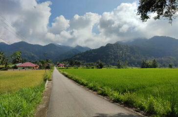 Jorong_Bungo_Setangkai