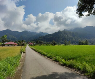 Jorong_Bungo_Setangkai