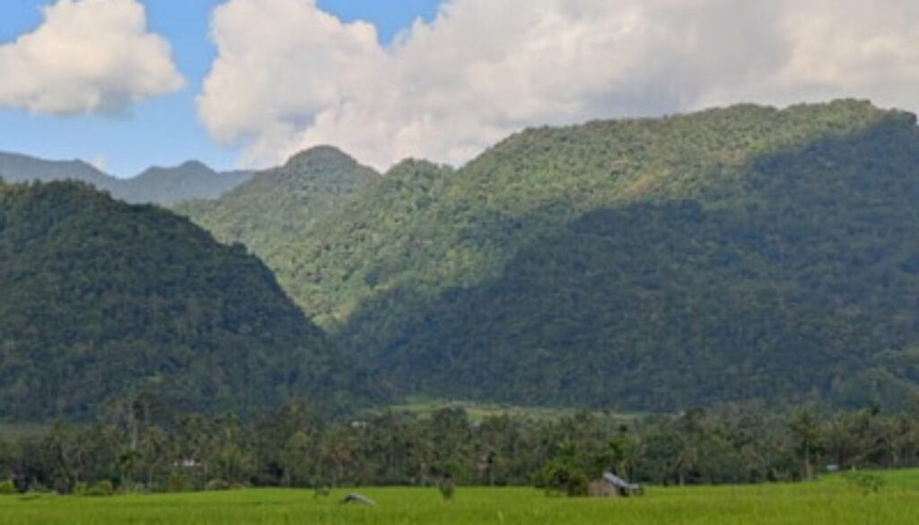 sawahsungaipatai