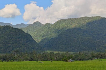 sawahsungaipatai