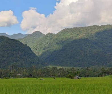 sawahsungaipatai