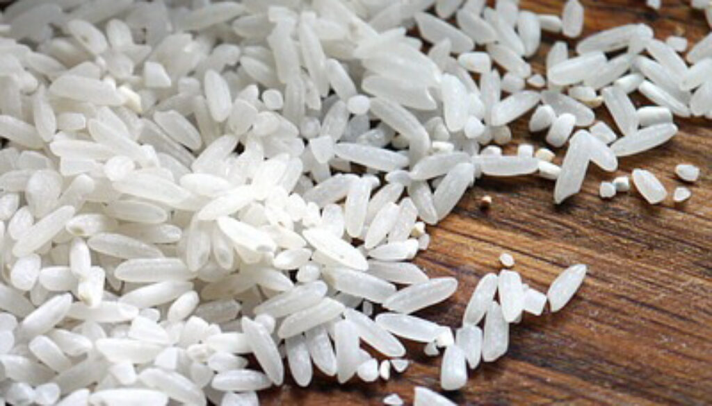 rice-498688_640